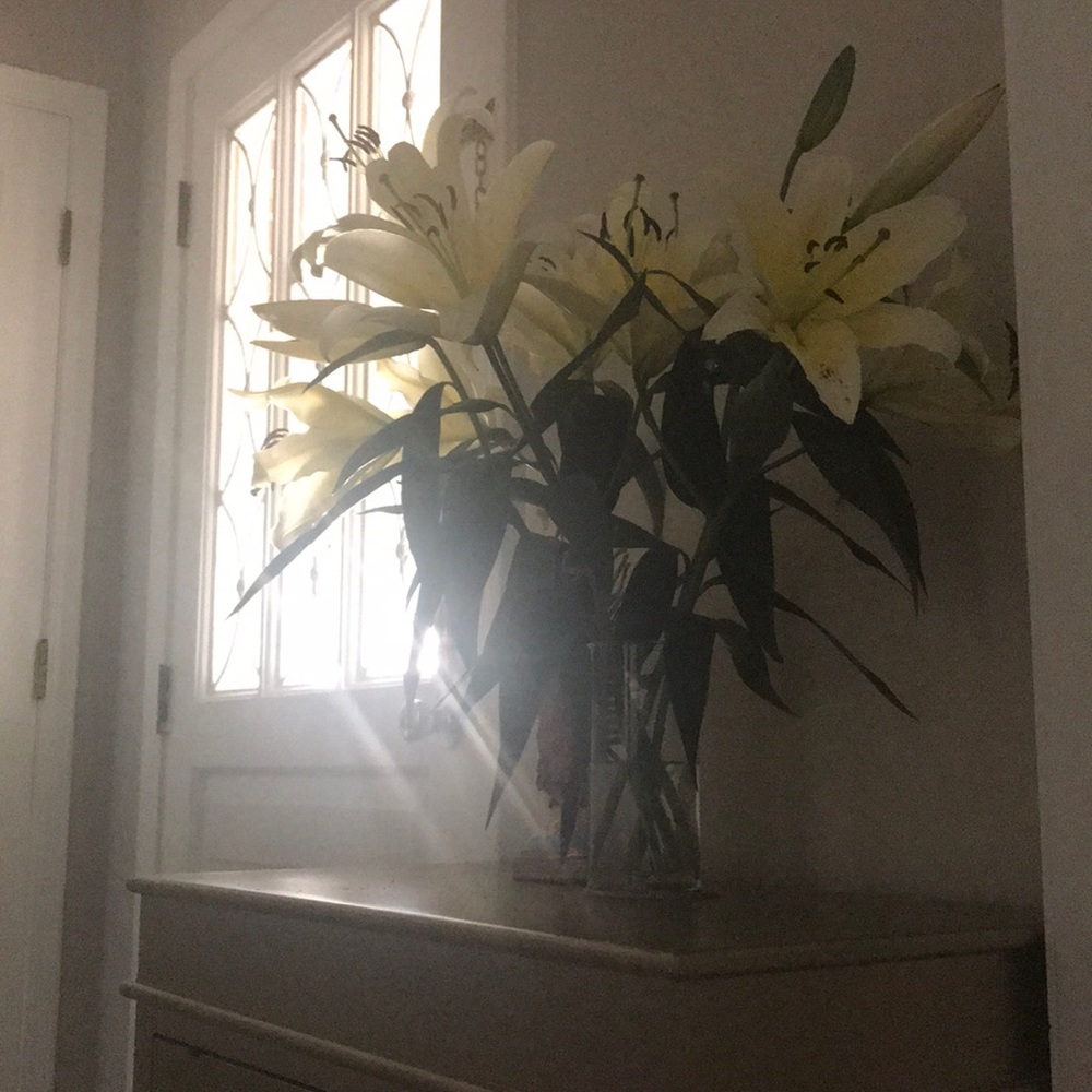 Meet your Posher, Laura